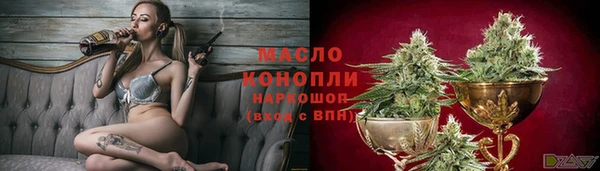 крисы Бронницы