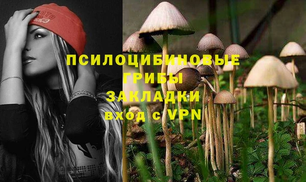 мдпв Бородино