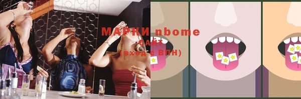 мдпв Бородино