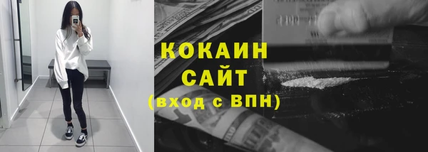 крисы Бронницы