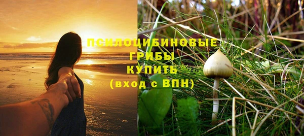 мдпв Бородино