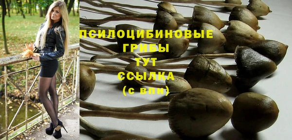Альфа ПВП Бугульма