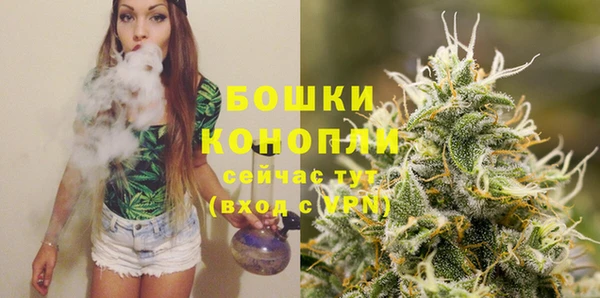 Альфа ПВП Бугульма