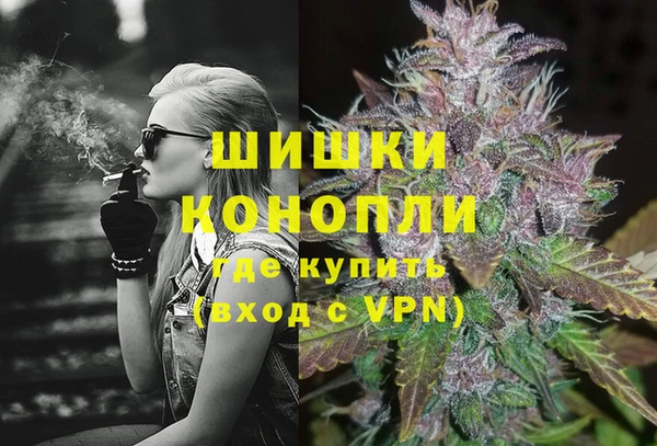 крисы Бронницы