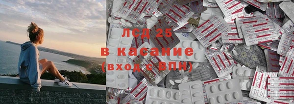 мдпв Бородино