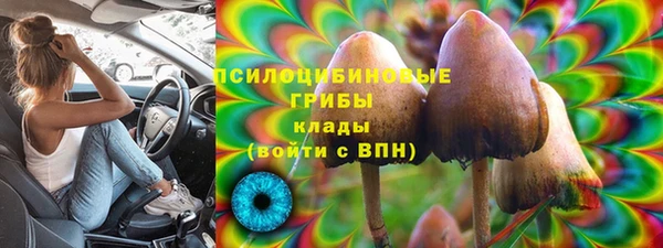 крисы Бронницы