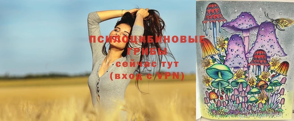 Альфа ПВП Бугульма