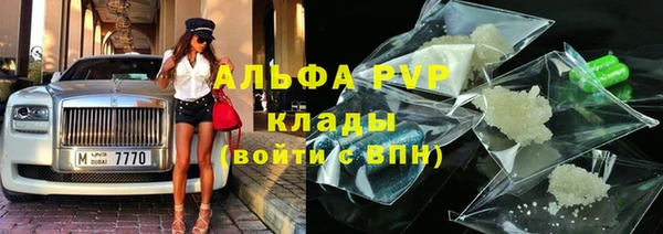 мдпв Бородино