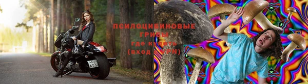 мдпв Бородино