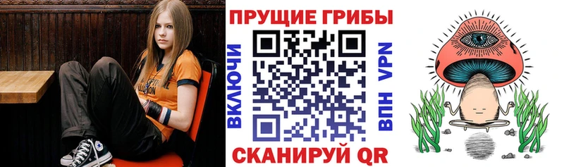 Галлюциногенные грибы GOLDEN TEACHER  где можно купить   OMG как зайти  Кодинск 