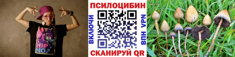 Псилоцибиновые грибы Psilocybine cubensis Кодинск